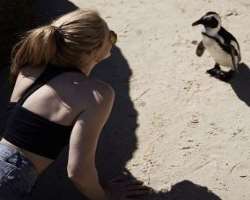 The actress is an animal lover and loves to spend time with them whenever she found them.